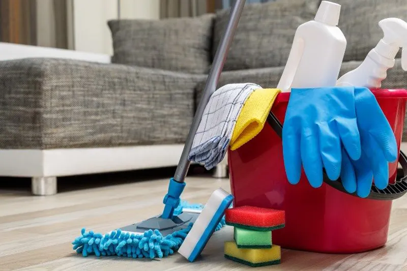 Ev Temizliği